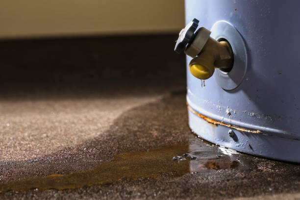 Best Commercial water damage restoration  in Spring City, TN