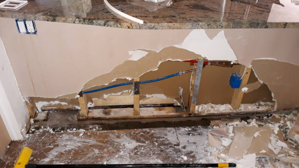 Best Water damage restoration near me  in Spring City, TN