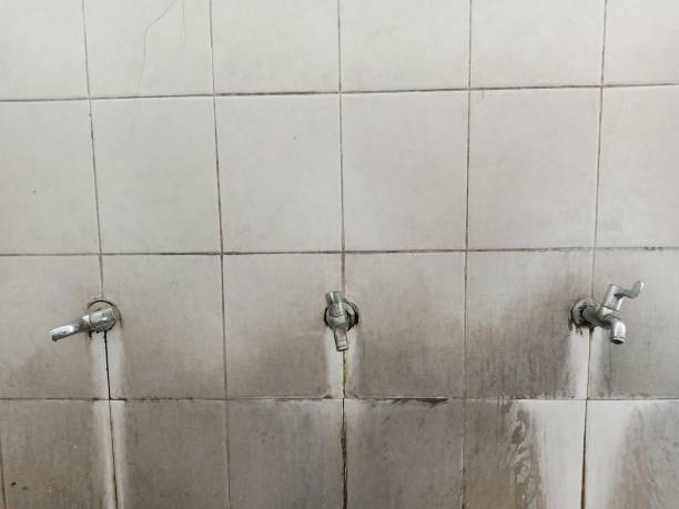 Best Fire Damage Restoration  in Spring City, TN