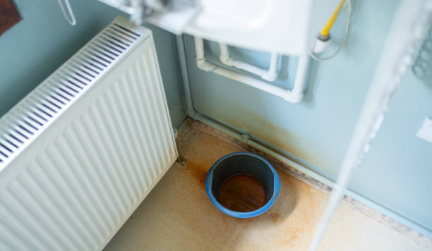 Best Water damage contractors near me  in Spring City, TN