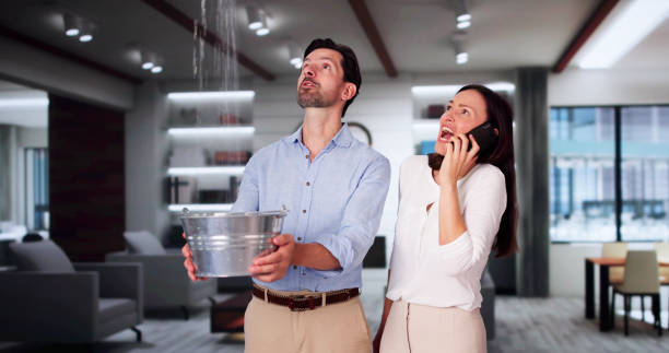 Best Mold removal after water damage  in Spring City, TN