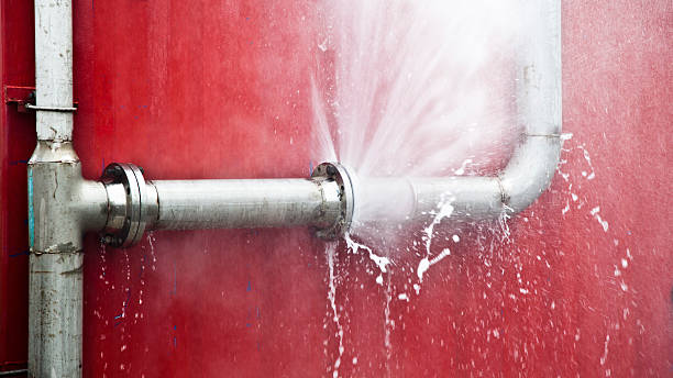 Best Water damage restoration specialists  in Spring City, TN